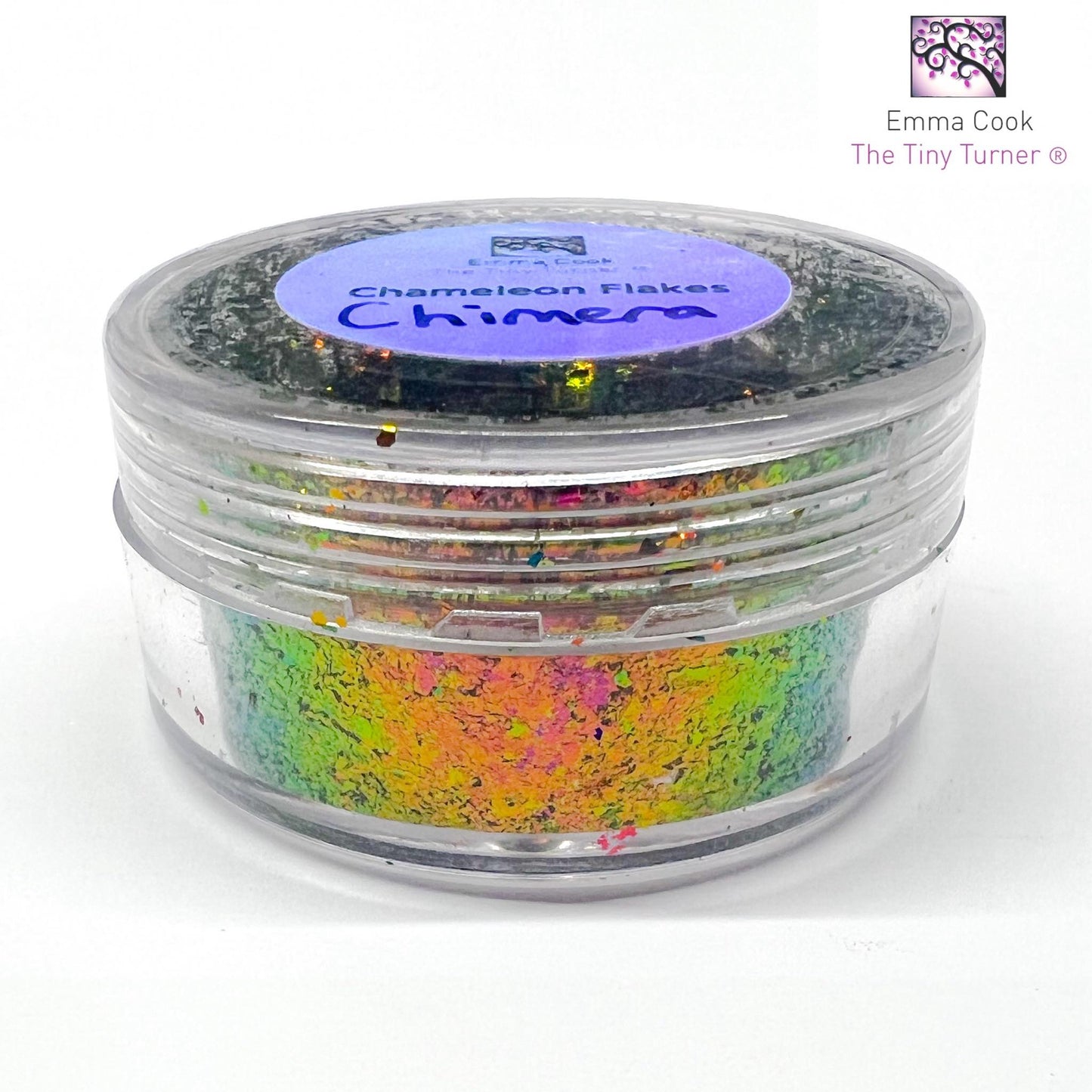 Poudre de caméléon Tiny Turner (6 pots de 0,5 g)