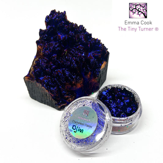Poudre de caméléon Tiny Turner (6 pots de 0,5 g)