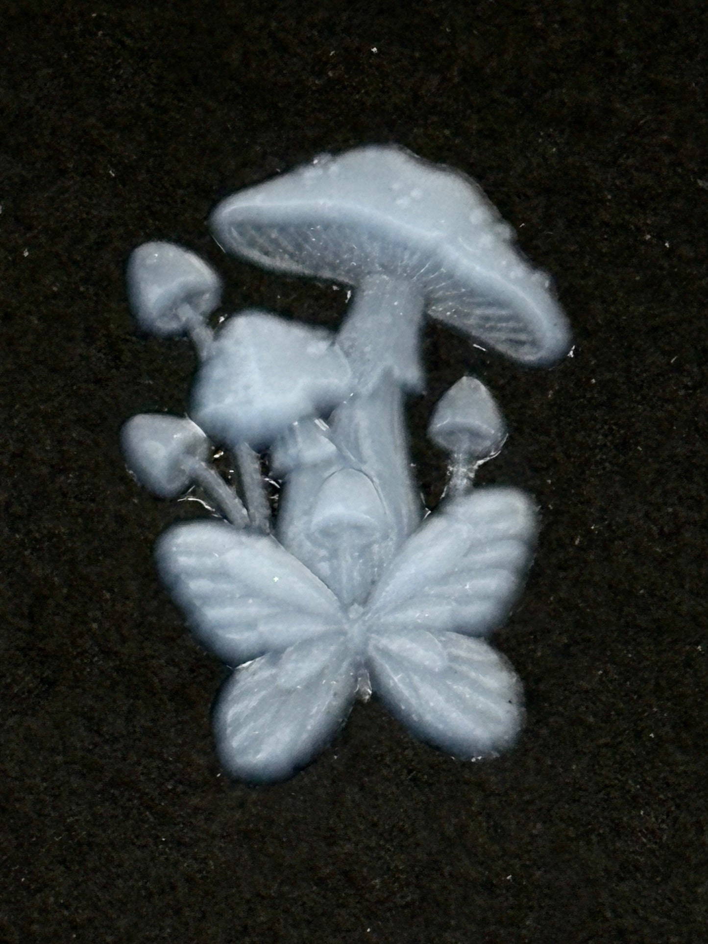 Butterfly Grove