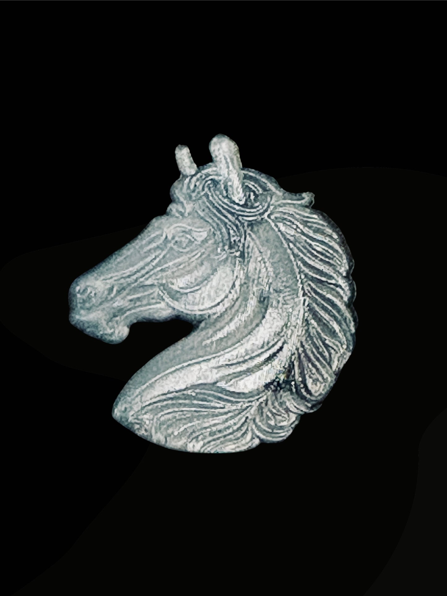 Elegant Horse Bust