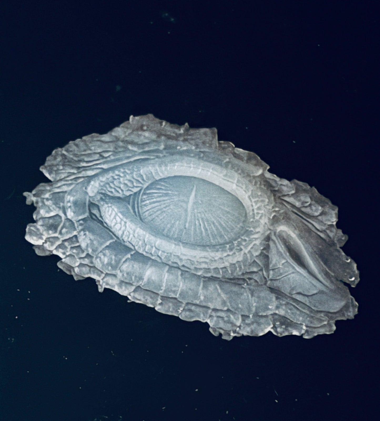Dragon Eye Mould and Inlay Pair