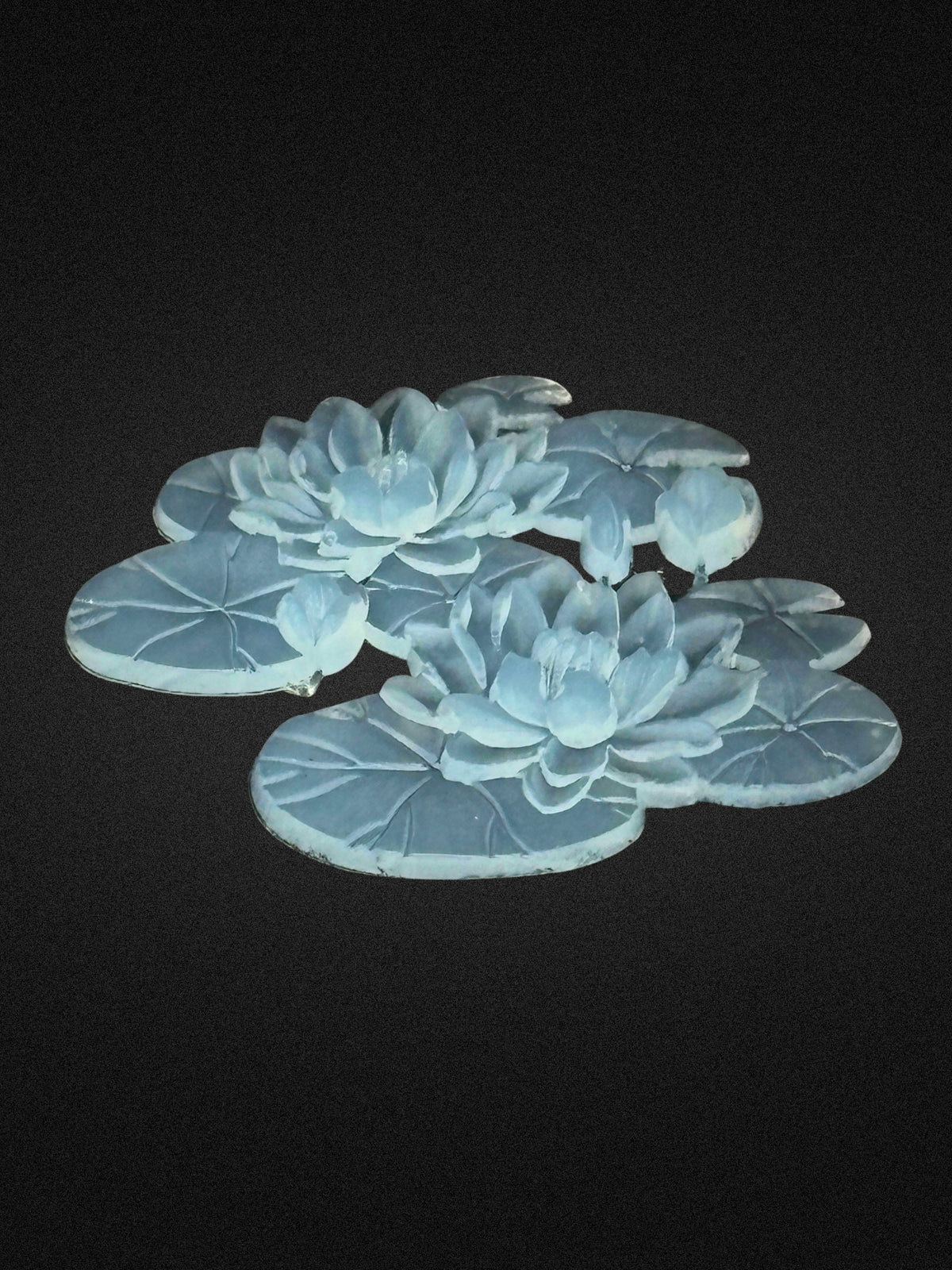 Lily Pond
