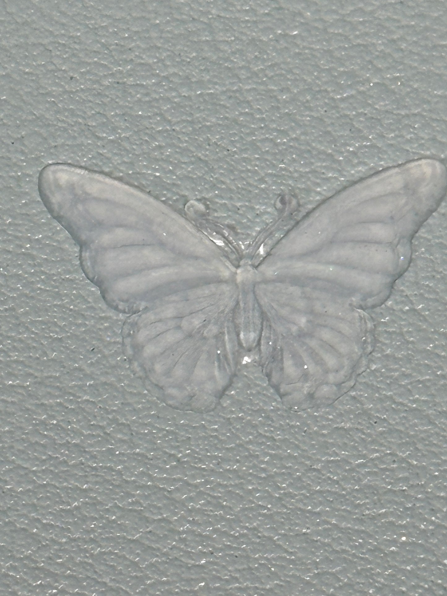 Small Butterfly