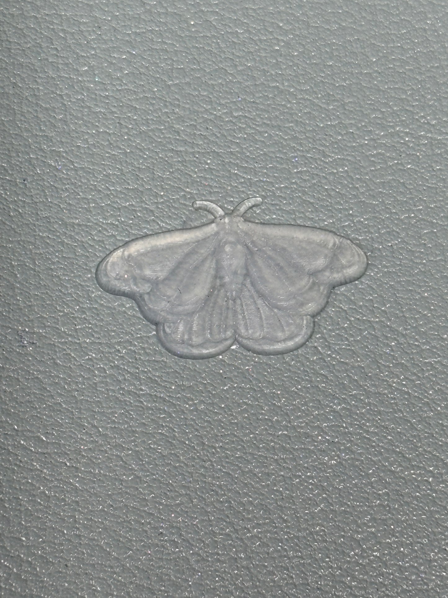 Small Moth