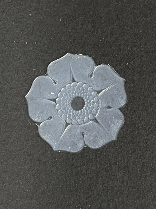 Coronaria