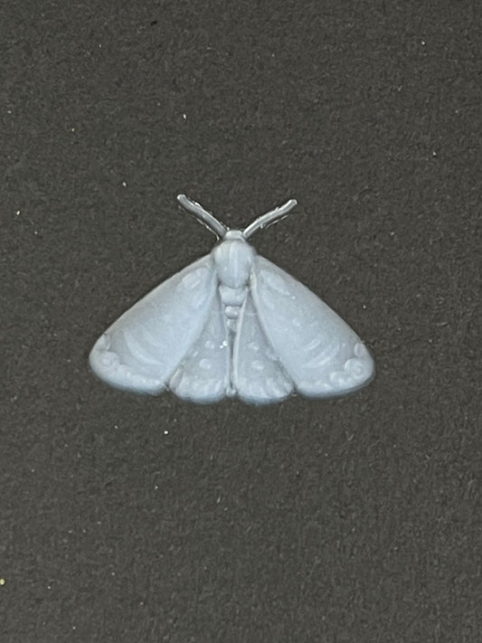 Moth 2