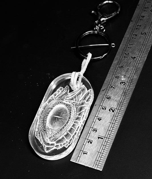 Clear Dragon Eye Keyring / Bag tie