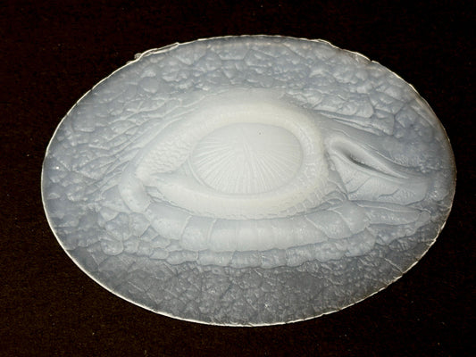 Dragon Eye Inlay with Border