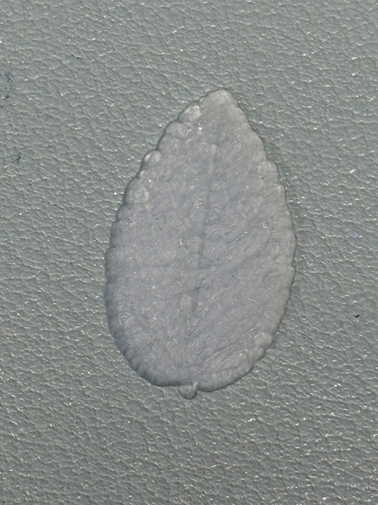 Mint Leaf