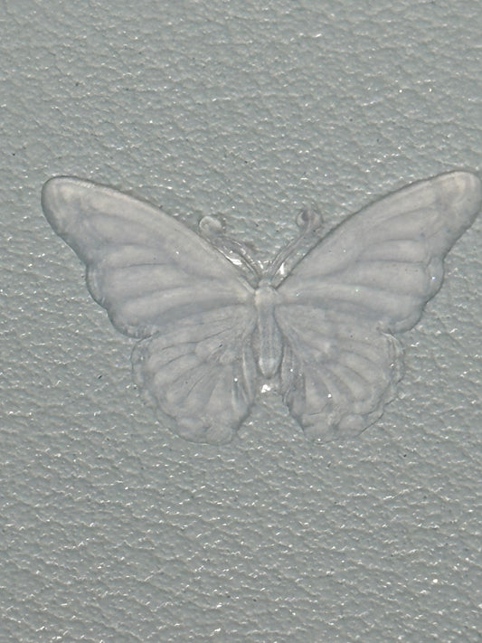 Small Butterfly