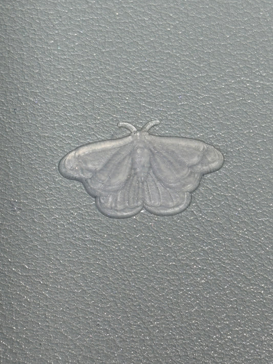 Small Moth
