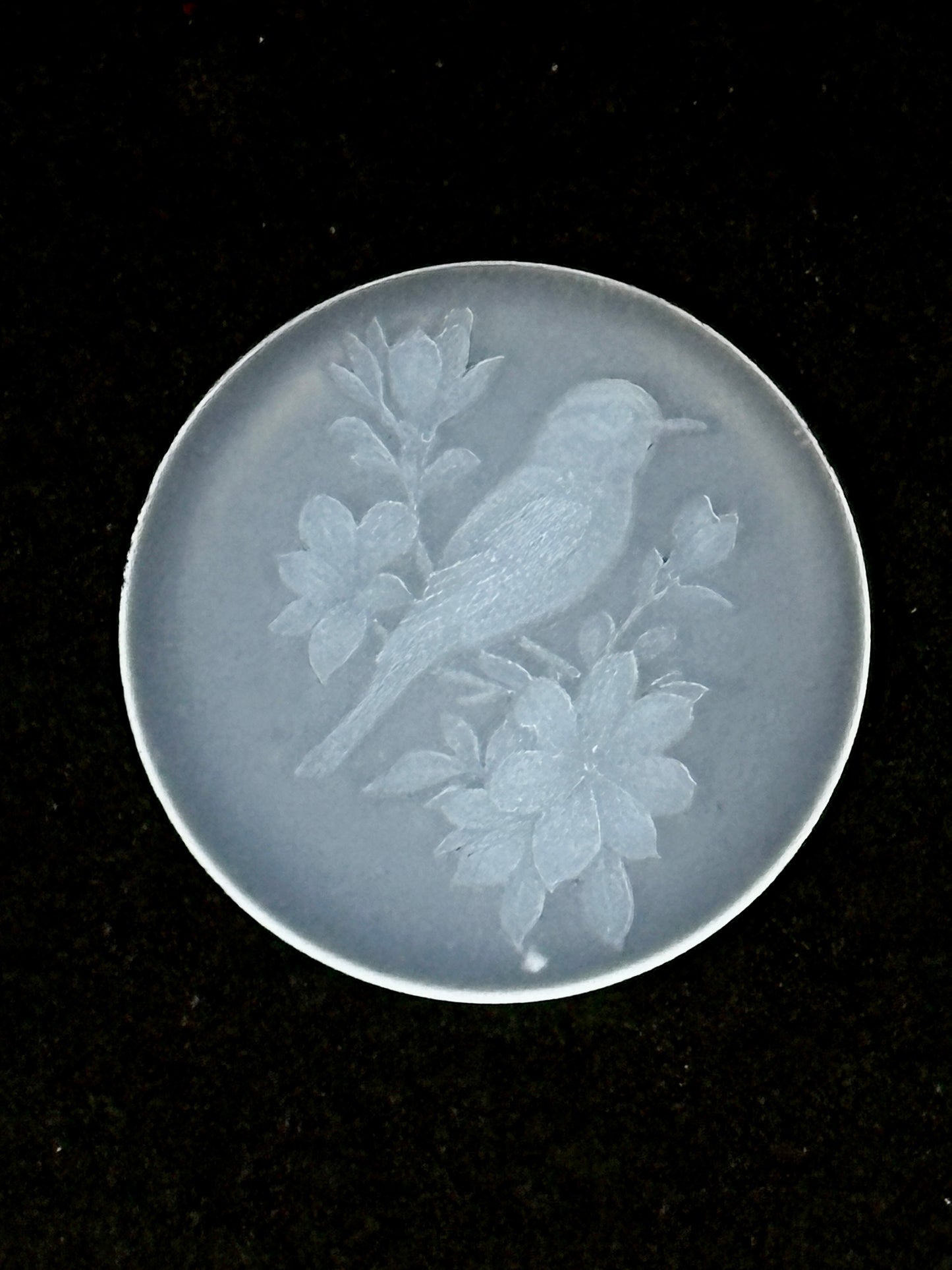 Songbird in Cherry Blossom
