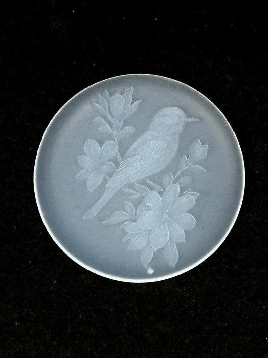 Songbird in Cherry Blossom