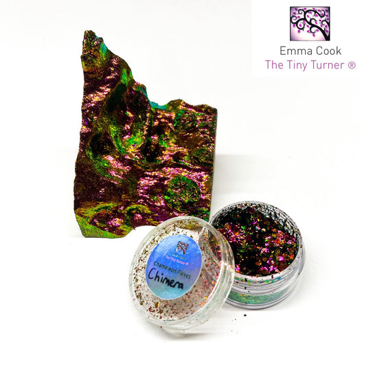 Poudre de caméléon Tiny Turner (6 pots de 0,5 g) 